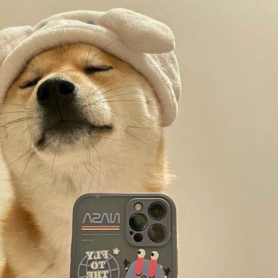 头像2