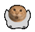 I am a cat