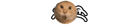 I am a cat